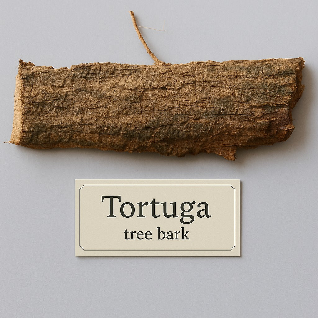 TORTUGA ESSENCE