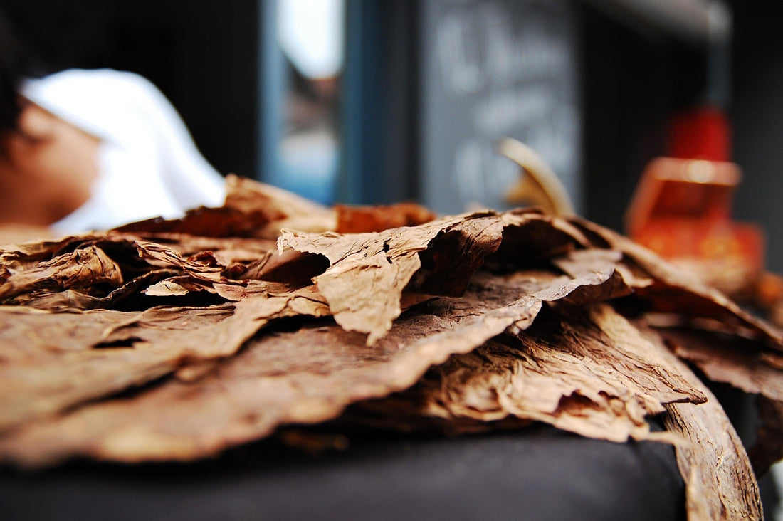 Tobacco Dieta