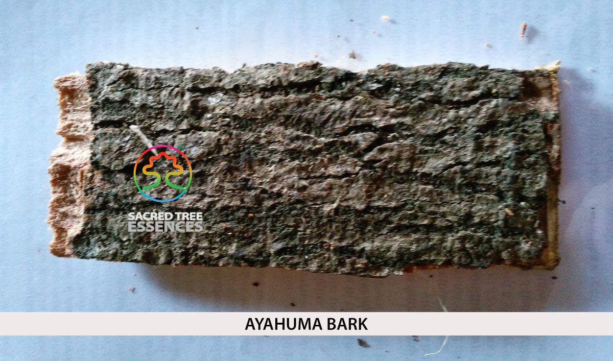 AYAHUMA ESSENCE