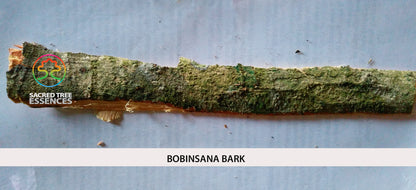 BOBINSANA ESSENCE