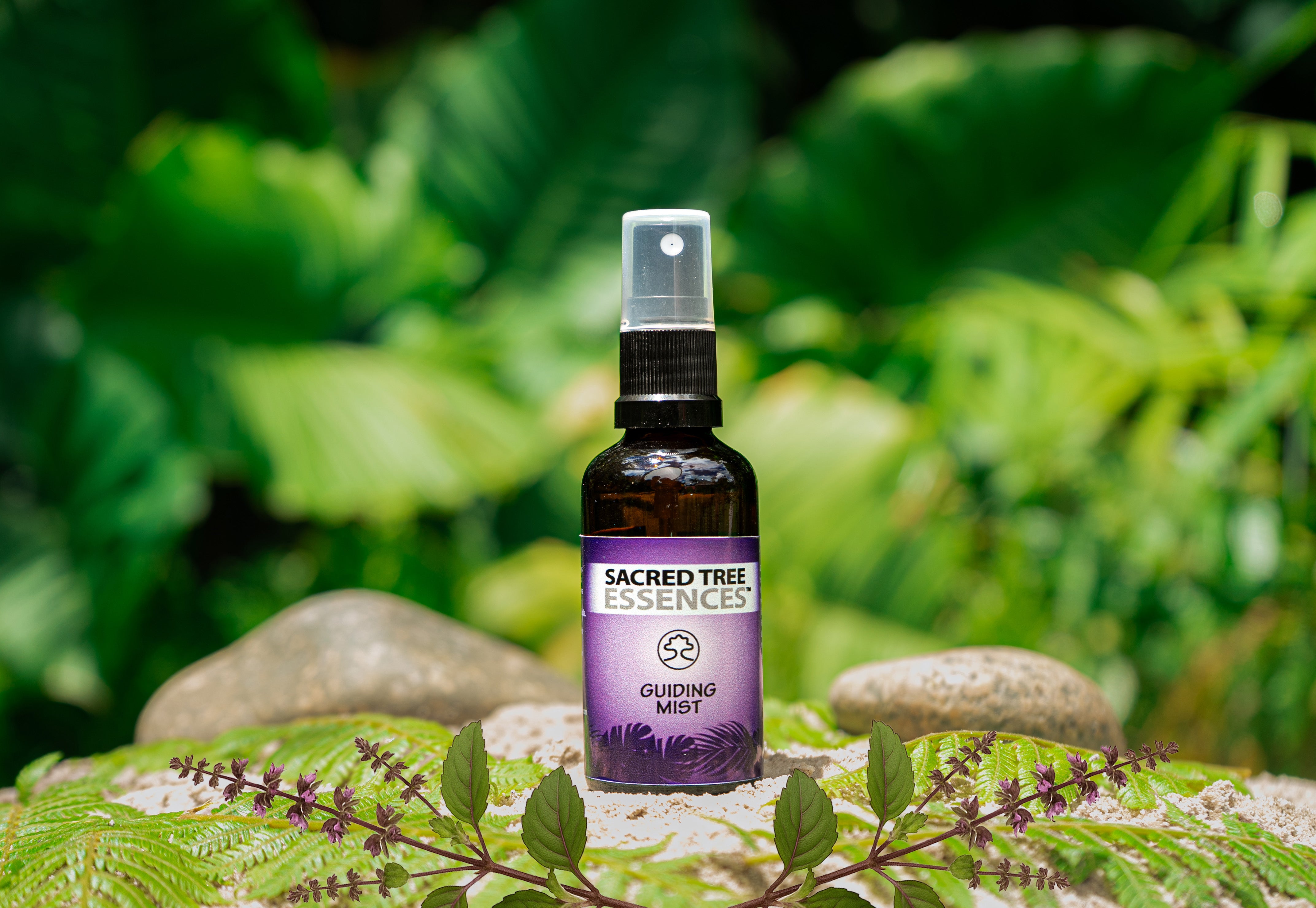 GUIDING MIST – Sacred Tree Essences