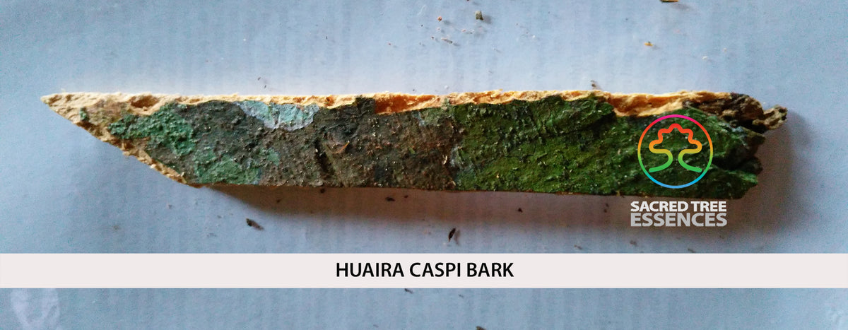 HUAIRA CASPI ESSENCE