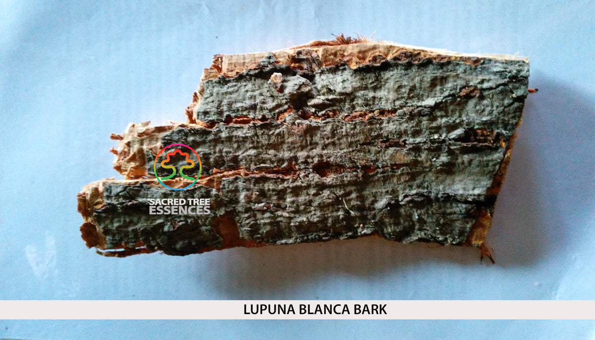 LUPUNA BLANCA ESSENCE