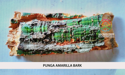 PUNGA AMARILLA ESSENCE