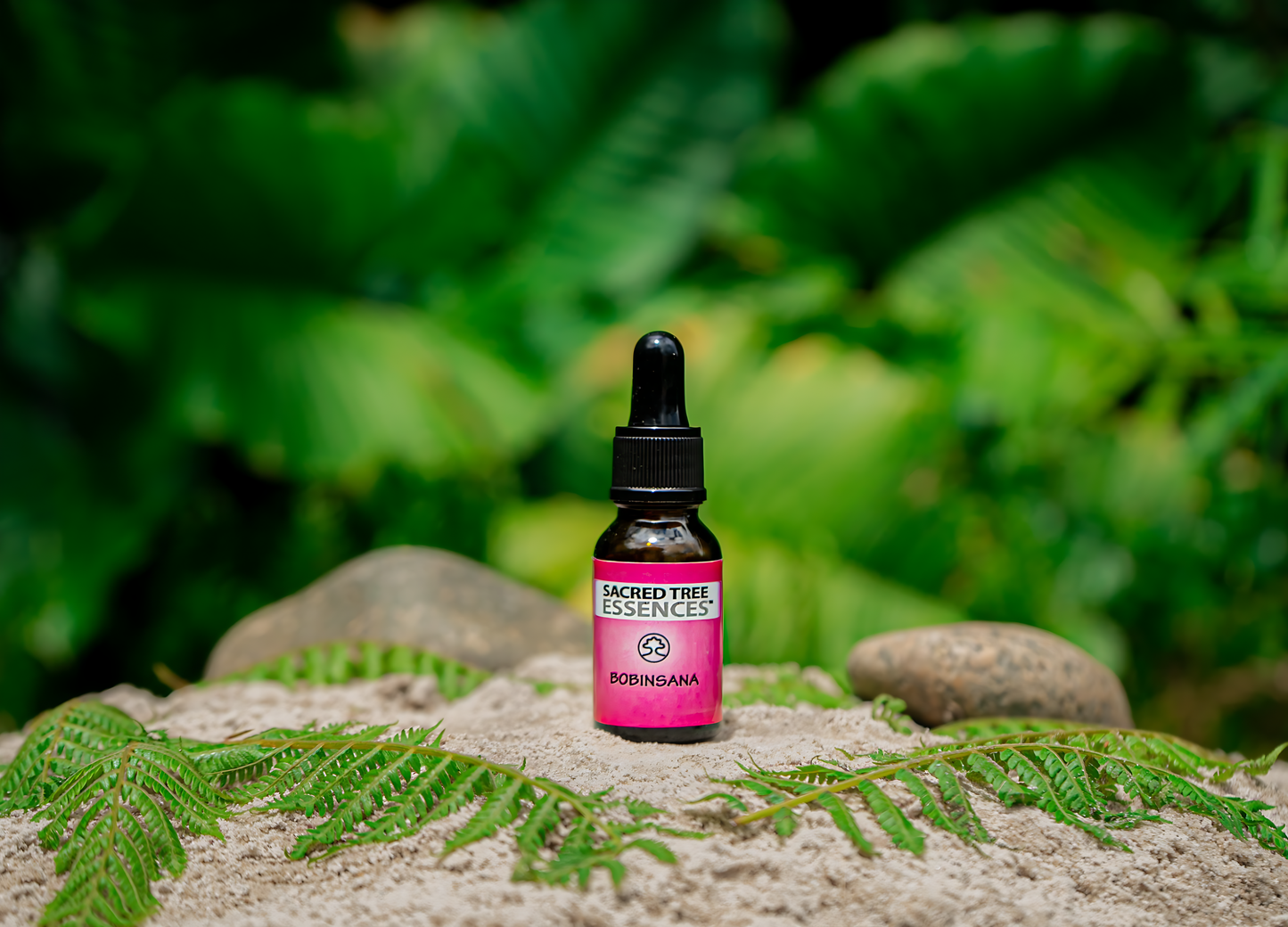 BOBINSANA ESSENCE