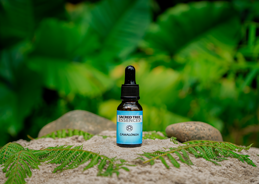 CAMALONGA ESSENCE