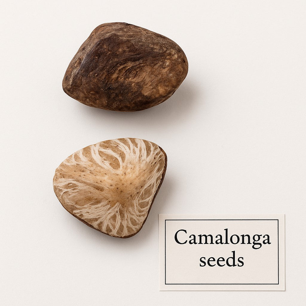 CAMALONGA ESSENCE