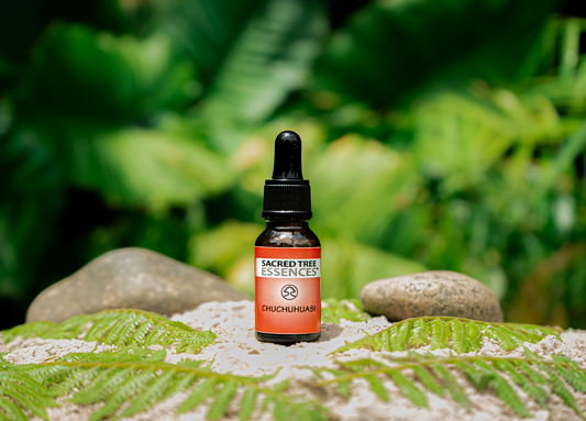 CHUCHUHUASI ESSENCE