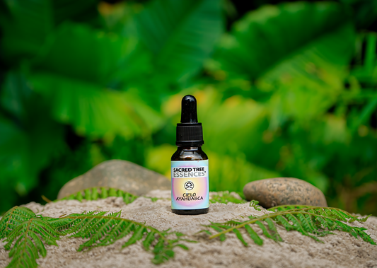 CIELO AYAHUASCA ESSENCE