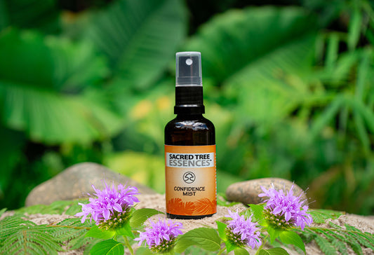 CONFIDENCE MIST