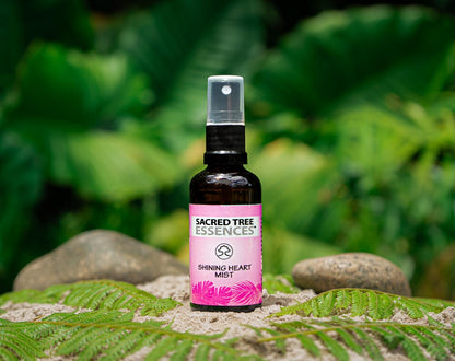 SHINING HEART MIST