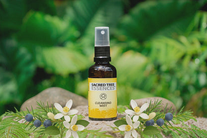 CLEANSING MIST