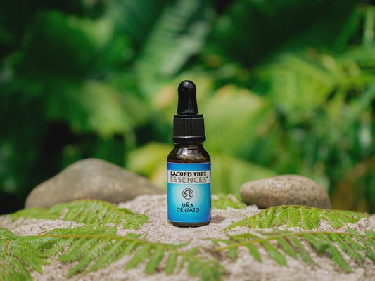 UÑA DE GATO ESSENCE