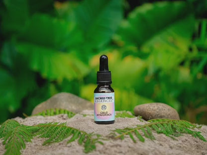 CIELO AYAHUASCA ESSENCE
