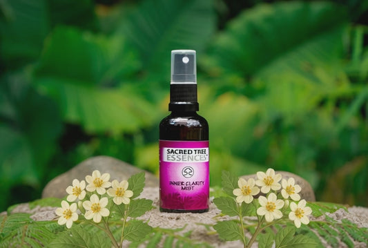 INNER CLARITY MIST