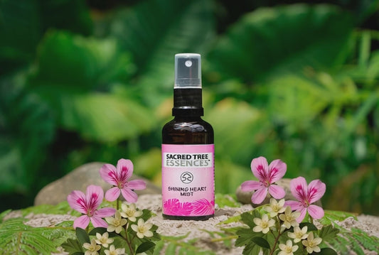 SHINING HEART MIST