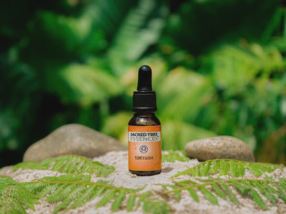 TORTUGA ESSENCE