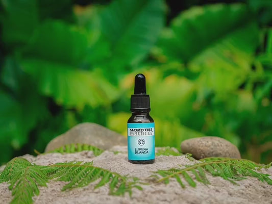 LUPUNA BLANCA ESSENCE