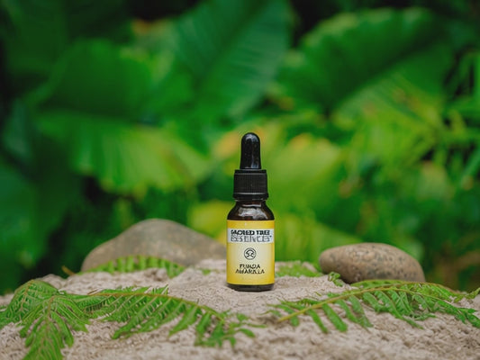 PUNGA AMARILLA ESSENCE