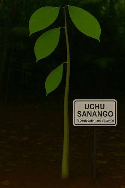 UCHU SANANGO ESSENCE