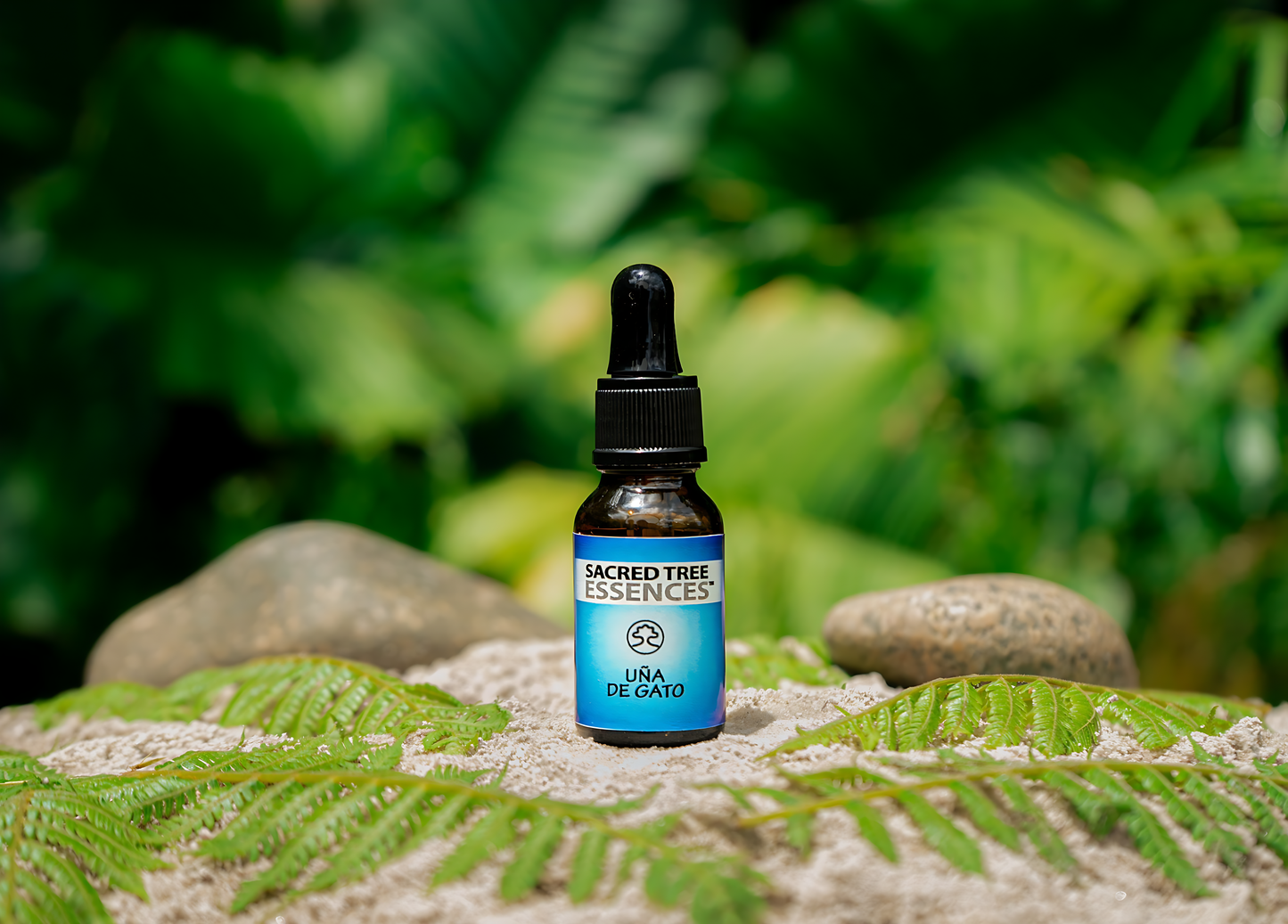 UÑA DE GATO ESSENCE